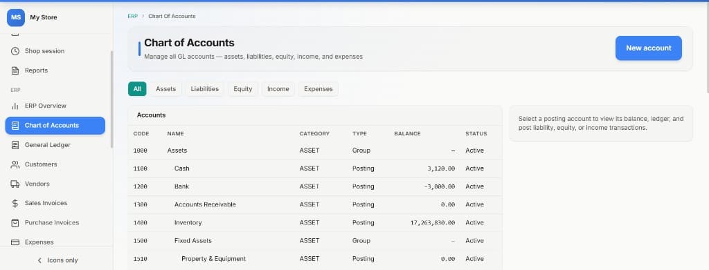 Accounting — Chart of accounts and GL balances